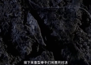 杏彩中国官网-谁能夺冠？欧国联比赛西游奇遇记即将展开！的简单介绍