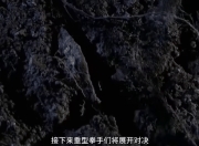 杏彩中国官网-谁能夺冠？欧国联比赛西游奇遇记即将展开！的简单介绍