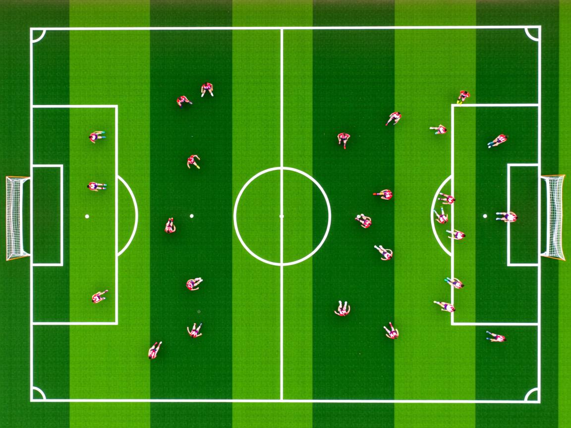 杏彩体育平台-瑞典队未来战略：从本土到全球化布局，瑞典队2021  第2张