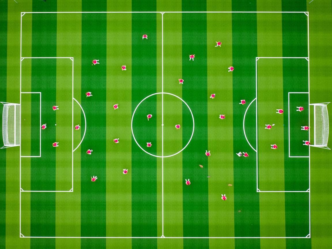 杏彩体育注册-自由式滑雪技术指导课程开放大众申请，自由式滑雪项目包括