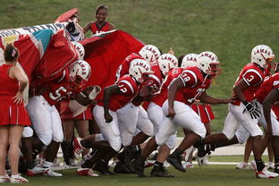 杏彩娱乐平台-搏击台上竞技水平持续提高，搏击台上竞技水平持续提高怎么办  第2张